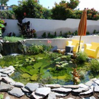 Photo Thumbnail #20: Water garden in Hermosa beach