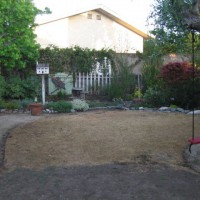 Photo Thumbnail #25: Before photo of redondo beach native garden...