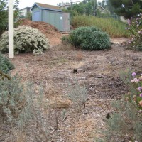 Photo Thumbnail #5: Before photo of the Manhattan Beach Botanical...