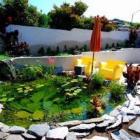 Photo Thumbnail #21: Koi pond in Hermosa Beach