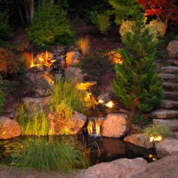 Photo Thumbnail #7: Koi pond at night