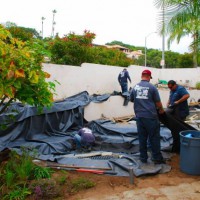 Photo Thumbnail #30: In the middle of installing the water garden