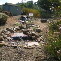 Photo Thumbnail #27: Pondless waterfall at Manhattan Beach Botanical...