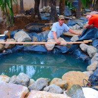 Photo Thumbnail #14: Koi pond getting installed in Redondo Beach