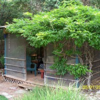 Photo Thumbnail #23: Structure in the back of the property, I call...