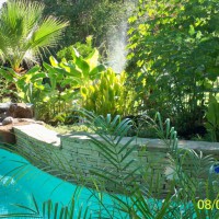 Photo Thumbnail #14: More of the pool garden