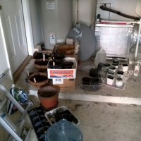 Photo Thumbnail #12: Seeds back in the garage...weather is crash in...