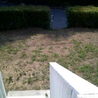 Photo Thumbnail #1: front yard from deck