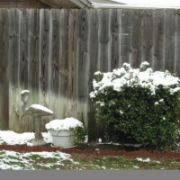Photo Thumbnail #5: Winter in the Rock Garden, distance