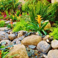 Photo Thumbnail #13: This garden is magic