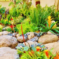 Photo Thumbnail #15: The most vibrant garden of Los Angeles