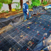 Photo Thumbnail #2: The rainwater harvesting tanks are installed...