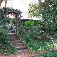 Photo Thumbnail #12: View looking toward the house of the deck arbor...