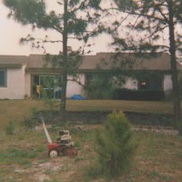 Photo Thumbnail #2: This is the view looking toward the house after...