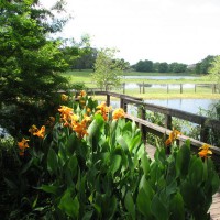 Photo Thumbnail #19: Recent picture of the dock and pond.