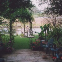 Photo Thumbnail #10: Added a metal arbor over the deck steps with...