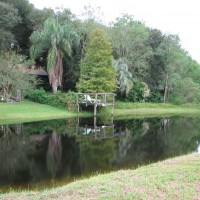 Photo Thumbnail #22: Recent view of the pond and back yard looking...