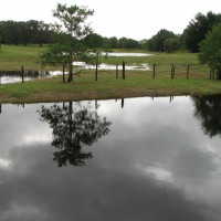 Photo Thumbnail #23: Views from the Dock