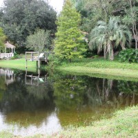 Photo Thumbnail #21: Recent view of the pond and back yard looking...