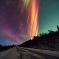 Photo Thumbnail #1: Orange...rarest Aurora