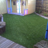 Photo Thumbnail #6: Fake Turf. Looks so real that family and...