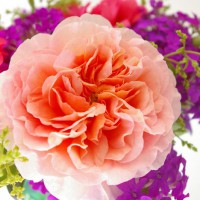 Photo Thumbnail #7: Abraham Darby