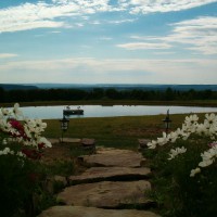Photo Thumbnail #13: From the patio looking at the pond.