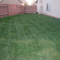 Photo Thumbnail #17: Side yard one year ago:  Currently there is a...