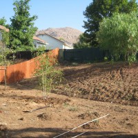 Photo Thumbnail #2: Irrigation and trees put in, courtesy of the hubby