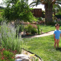 Photo Thumbnail #21: Our son enjoying last spring's blessings!