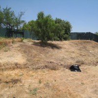 Photo Thumbnail #8: The Hill....this Ca Pepper Tree is HUGE now!...