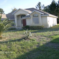 Photo Thumbnail #2: pineapple palm, hibiscus, topiary