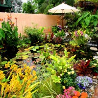 Photo Thumbnail #7: Water Garden