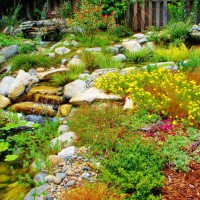 Photo Thumbnail #23: Mulch surrounds this water garden