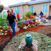 Photo Thumbnail #18: The native garden surrounds a fountain