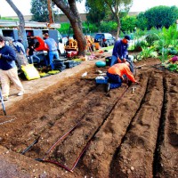 Photo Thumbnail #9: The installation of the sub-surface driup...