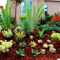 Photo Thumbnail #21: Native plants look great together.