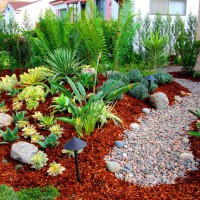 Photo Thumbnail #28: Rain garden complements the native garden to...