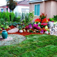 Photo Thumbnail #29: A nice balance of grass and native plants