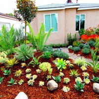 Photo Thumbnail #19: Native garden with a Rain garden