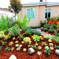 Photo Thumbnail #19: Native garden with a Rain garden