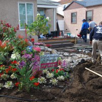 Photo Thumbnail #13: The planting has begun.