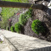 Photo Thumbnail #5: We will be purchasing absolute black mulch to...