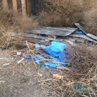 Photo Thumbnail #3: Tumble weeds and the garbage pile. This is how...