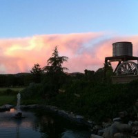 Photo Thumbnail #14: Looking out onto back pasture