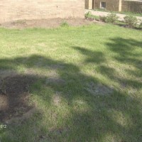 Photo Thumbnail #3: This is what the yard looks like now - I am in...