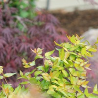 Photo Thumbnail #2