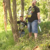 Photo Thumbnail #2: Overgrown Back hill