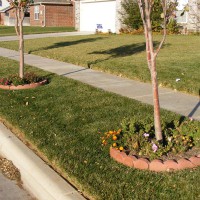 Photo Thumbnail #2: 11-3-2008. The parkway with 2 bradford pear...