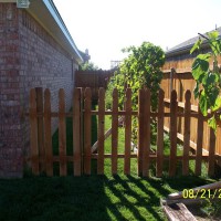 Photo Thumbnail #3: My little side yard garden. NOT EVEN THE SAME...